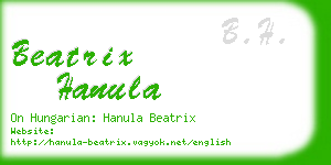 beatrix hanula business card